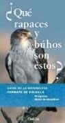 Volker Dierschke - ¿Qué rapaces y buhos son estos?