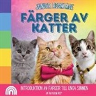Rainbow Roy - Junior Regnbåge, Färger av Katter