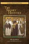 Procopius - The Secret History