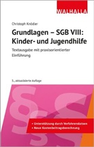 Christoph Knödler - Grundlagen - SGB VIII: Kinder- und Jugendhilfe