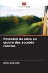 Boris Zalesskij - Potentiel de mise en oeuvre des accords conclus