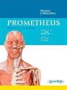 Erik Schulte, Udo Schumacher, Michael Schünke - Prometheus : póster de anatomía : huesos y músculos
