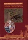 Ángel Hernández Lázaro, Paloma Torroba Balmori, Pilar Zaldívar García - Semillas de frutos carnosos del Norte ibérico : guía de identificación