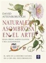 David Attenborough - Naturaleza asombrosa en el arte