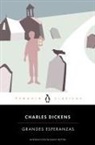 Charles Dickens - Grandes esperanzas