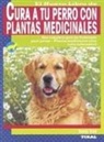 Cura a tu perro con plantas medicinales