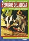 Petauros del azúcar