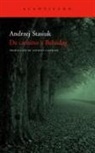 Andrzej Stasiuk - De camino a Babadag