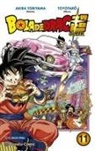 Akira Toriyama, Toyotaro - Bola de Drac super 11