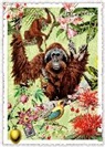Postkarte. Sweet Memories. Wildlife-Edition, Orang-Utan / hoch
