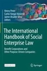 Jaime Alcalde Silva, Henry Peter, Carlos Vargas Vasserot - The International Handbook of Social Enterprise Law