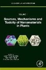 Sangeeta Pandey, Jose Peralta-Videa, Vijay Pratap Singh, Durgesh Kumar Tripathi - Sources, Mechanisms and Toxicity of Nanomaterials in Plants