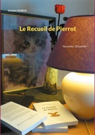 Damien Siobud - Le Recueil de Pierrot
