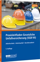 Joachim Schwede - Praxisleitfaden Gesetzliche Unfallversicherung (SGB VII)