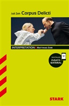 STARK Juli Zeh: Corpus Delicti - Deutsch - Interpretationen