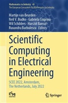 Harshit Bansal, Ruxandra Barbulescu, Martijn van Beurden, Neil V. Budko, Gabriela Ciuprina, Gabriela Ciuprina et al... - Scientific Computing in Electrical Engineering