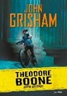 John Grisham - Theodore Boone. Joven abogado