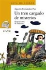 Agustín Fernández Paz, Enjamio - Un tren cargado de misterios