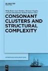 Lasse Bombien, Philip Hoole, Barbara Kühnert, Christine Mooshammer, Marianne Pouplier, Marianne Pouplier et al - Consonant Clusters and Structural Complexity