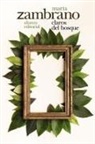 Joaquín Verdú de Gregorio, María Zambrano - Claros del bosque