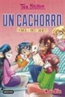 Tea Stilton - Un cachorro busca casa