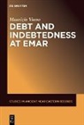 Maurizio Viano - Debt and Indebtedness at Emar