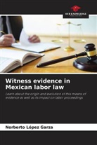 Norberto López Garza - Witness evidence in Mexican labor law