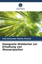 Yely Alexander Molina Pereira - Geeignete Waldarten zur Erhaltung von Wasserquellen