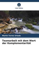 Martin Torres Urtado - Teamarbeit mit dem Wert der Komplementarität