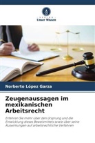 Norberto López Garza - Zeugenaussagen im mexikanischen Arbeitsrecht