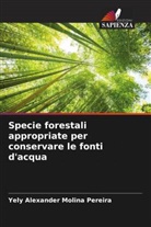 Yely Alexander Molina Pereira - Specie forestali appropriate per conservare le fonti d'acqua
