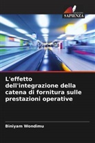 Biniyam Wondimu - L'effetto dell'integrazione della catena di fornitura sulle prestazioni operative
