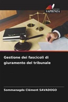 Sommanagdo Clément Savadogo - Gestione dei fascicoli di giuramento del tribunale