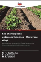 M. K. Ghelani, N. M. Kachhadiya, B. V. Patoliya - Les champignons entomopathogènes : Nomuraea rileyi
