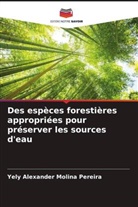 Yely Alexander Molina Pereira - Des espèces forestières appropriées pour préserver les sources d'eau