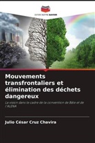 Julio César Cruz Chavira - Mouvements transfrontaliers et élimination des déchets dangereux
