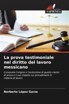 Norberto López Garza - La prova testimoniale nel diritto del lavoro messicano