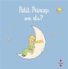 Antoine de Saint-Exupéry, Antoine de Saint-Exupéry - Petit príncep, on ets?