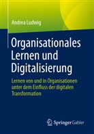 Andrea Ludwig - Organisationales Lernen und Digitalisierung