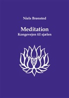 Niels Brønsted - Meditation