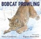 Maria Gianferrari, Bagram Ibatoulline - Bobcat Prowling