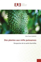 Boko Pascal Akabassi - Des plantes aux mille puissances