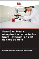 Gamer Aldawla Mustafa Mohamed - Sano-Gam Media : récupération de bactéries Gram+ et Gram- en état de choc au froid