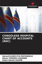 Gérard Eloko Eya Matangelo, Gabin Kalau Kaumb, Alexis Tohemo Lukamba - CONGOLESE HOSPITAL CHART OF ACCOUNTS (RDC)