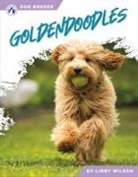 Libby Wilson - Goldendoodles