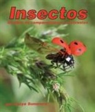 Aszya Summers - Insectos: Un Libro de Comparaciones Y Contrastes
