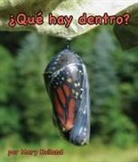 Mary Holland - ¿Qué Hay Dentro?