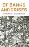 Jacques Beyssade, Jacques Beyssade Christine Dagonville, CRISTINA PEICUTI, Dagonville Christine, Jacques Beyssade, Cristina Peicuti - Of Banks and Crises