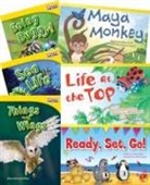 Multiple Authors - Animal Groups 6-Book Set