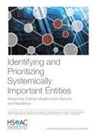 John Bordeaux, Benjamin Boudreaux, Sasha Romanosky, Aaron Strong, Jonathan W Welburn - Identifying and Prioritizing Systemically Important Entities
